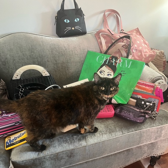 LIVE SHOW LISTING! @mary_jeannette is live!  Come hang out! - Picture 15 of 17